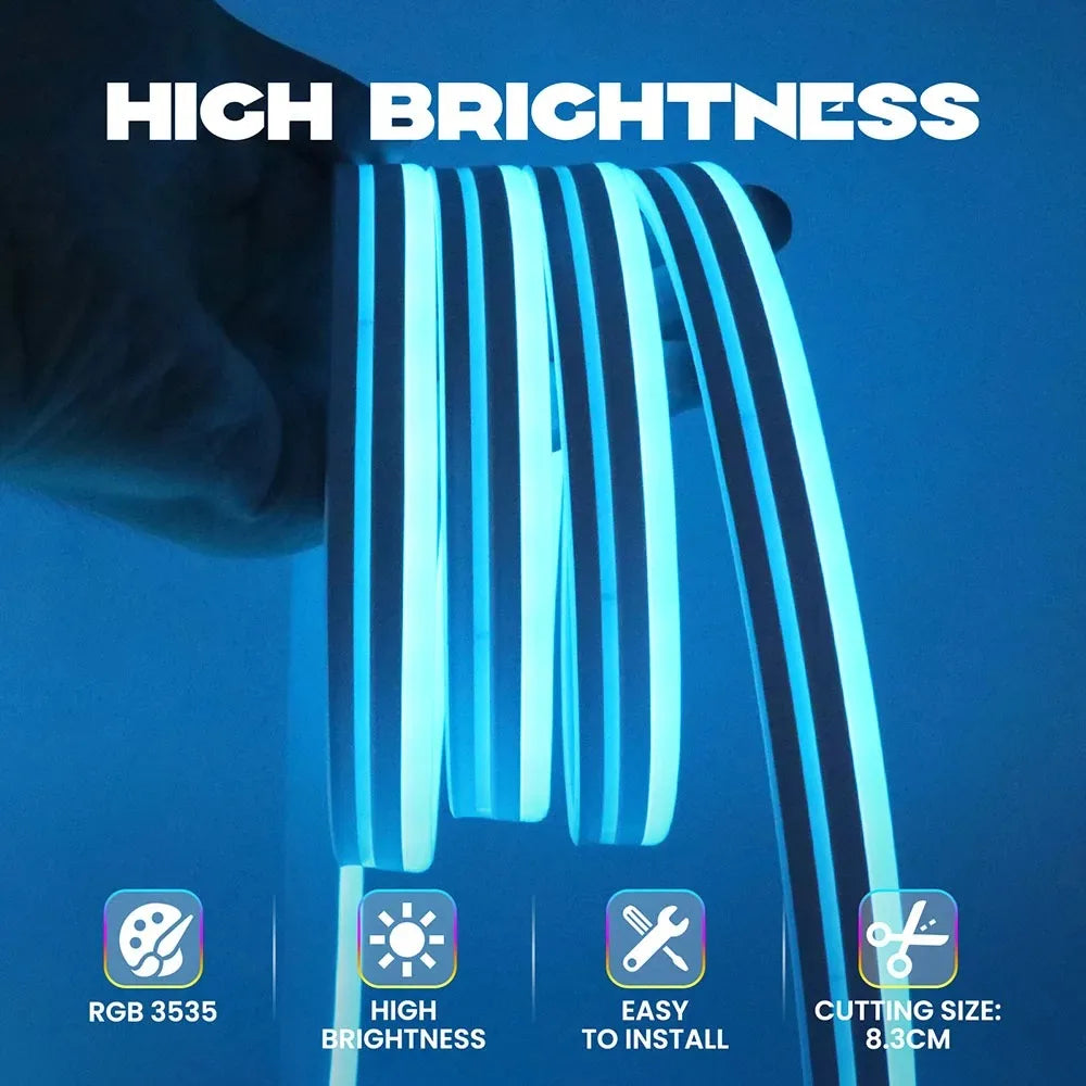 DC24V RGBIC Neon LED Strip Waterproof Bluetooth Music Sync 5-20M Flexible Neon Silicone Rope Light Festive Chasing Atmosphere